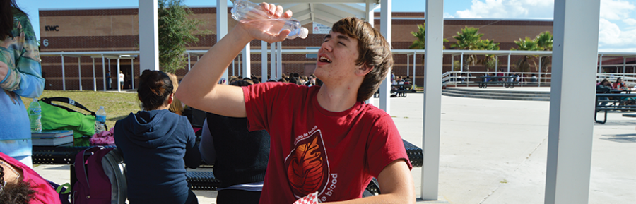 ‘NOLES SAVE PINT BY PINT