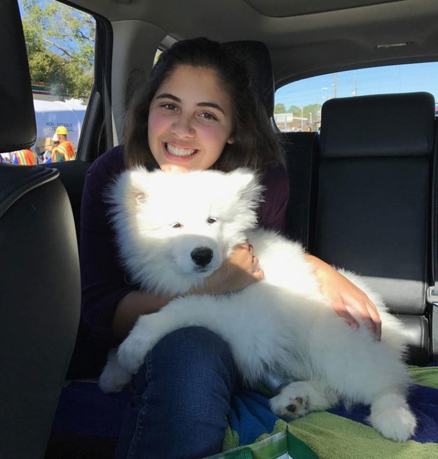 Isabel Adamus created the popular Instagram account @chewythesamoyed to celebrate her dog, Chewy.