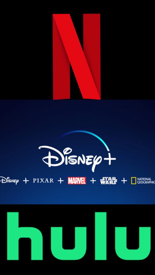 Netflix, Disney plus, and Hulu are each different streaming platforms that appeal to varying audiences. 