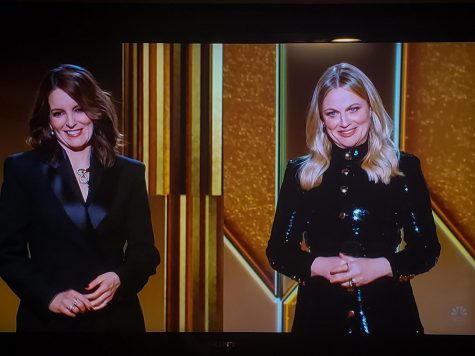 On February 28th, 2021 the 78th annual Golden Globes was hosted by comedians Tina Fey and Amy Poehlr.
