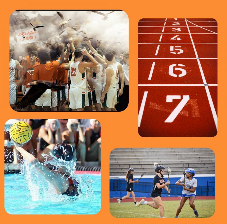 At+Seminole+High+School+there+are+so+many+sports+and+activities+that+are+available+to+our+students.+If+you+like+to+run%2C+swim%2C+dive%2C+or+even+golf+there+is+a+club+for+you.