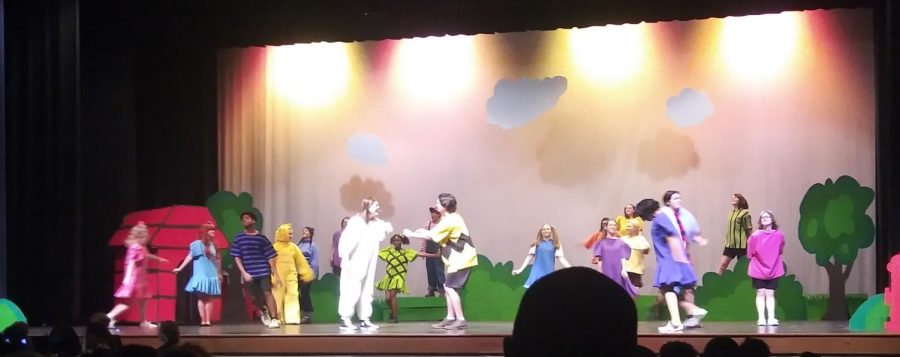 YOU PUT ON A GOOD MUSICAL, SHS THEATRE COMPANY