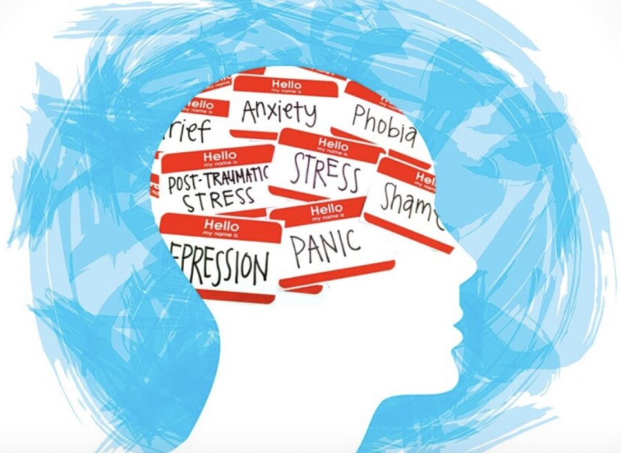 The mental health crisis in America is a serious issue. Read Reporter Laura Guskes take on the severity of this epidemic and its possible solutions.