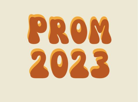 With prom coming up, many students have opted for alternative prom plans.
