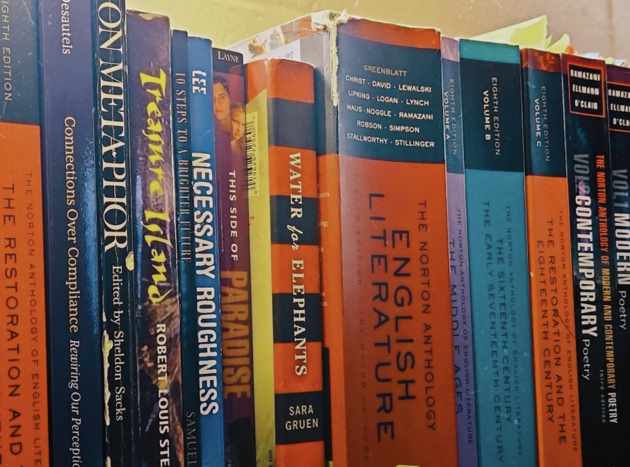 Books lined up, their stories waiting for our generation.

