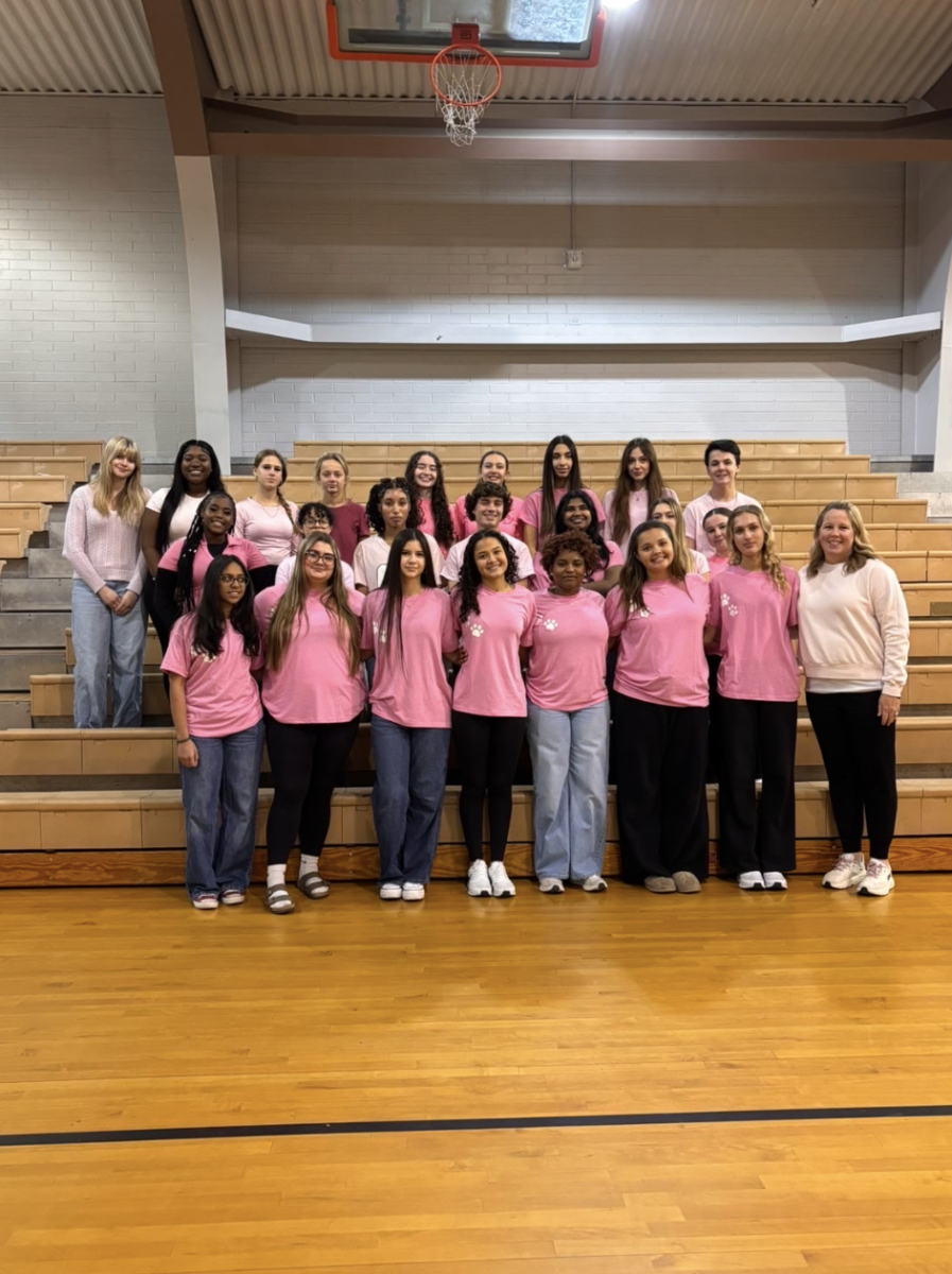 The club, Happy Paw, posing together on bleachers while wearing pink. 
